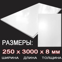 Панель ПВХ Белый глянец 250 х 3000 мм в Орехово-Зуево СтройДвор на Карболите