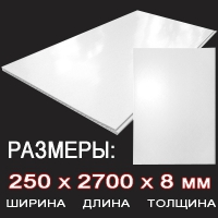 Панель ПВХ Белый глянец 250х2700 мм в Орехово-Зуево СтройДвор на Карболите