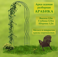 Арка садовая разборная АРАБИКА 2,5 х 0,31 х 1,2 м в Орехово-Зуево СтройДвор на Карболите