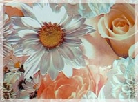 Самоклеящаяся пленка 2169 D&B 45 х 8 м (свадебные цветы) в Орехово-Зуево СтройДвор на Карболите