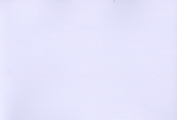 Самоклеящаяся пленка 3009 D&B 90 х 8 м (белое дерево) в Орехово-Зуево СтройДвор на Карболите