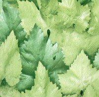 Самоклеящаяся пленка 3982 D&B 45 х 8 м (зеленые листья) в Орехово-Зуево СтройДвор на Карболите