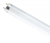 Лампа линейная люминисцентная ЛЛ36 вт L 36/640 G13 белая в Орехово-Зуево СтройДвор на Карболите