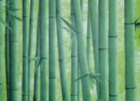 Самоклеящаяся пленка 09-1А D&B 45 х 8 м (бамбук зеленый) в Орехово-Зуево СтройДвор на Карболите