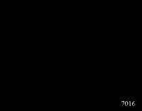 Самоклеящаяся пленка 7016 D&B 45 х 8 м (черная гл.) в Орехово-Зуево СтройДвор на Карболите