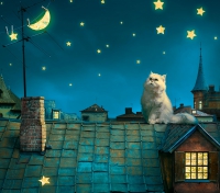 Фотообои 090 Лунный кот 294 х 260 в Орехово-Зуево СтройДвор на Карболите