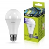 Лампа светодиодная Ergolux LED A70 35W E27 4000K